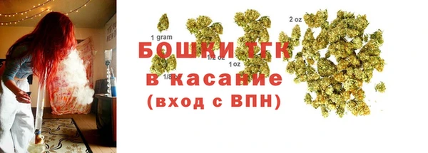 дживик Дмитриев