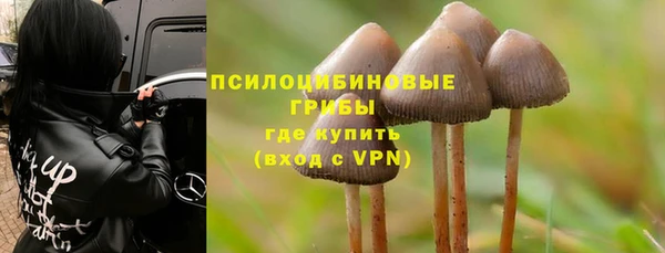 дживик Дмитриев